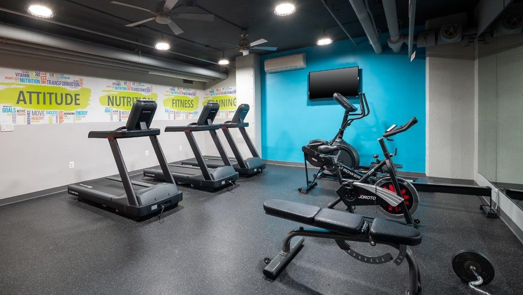 A gym with a row of treadmills and a row of stationary bikes.