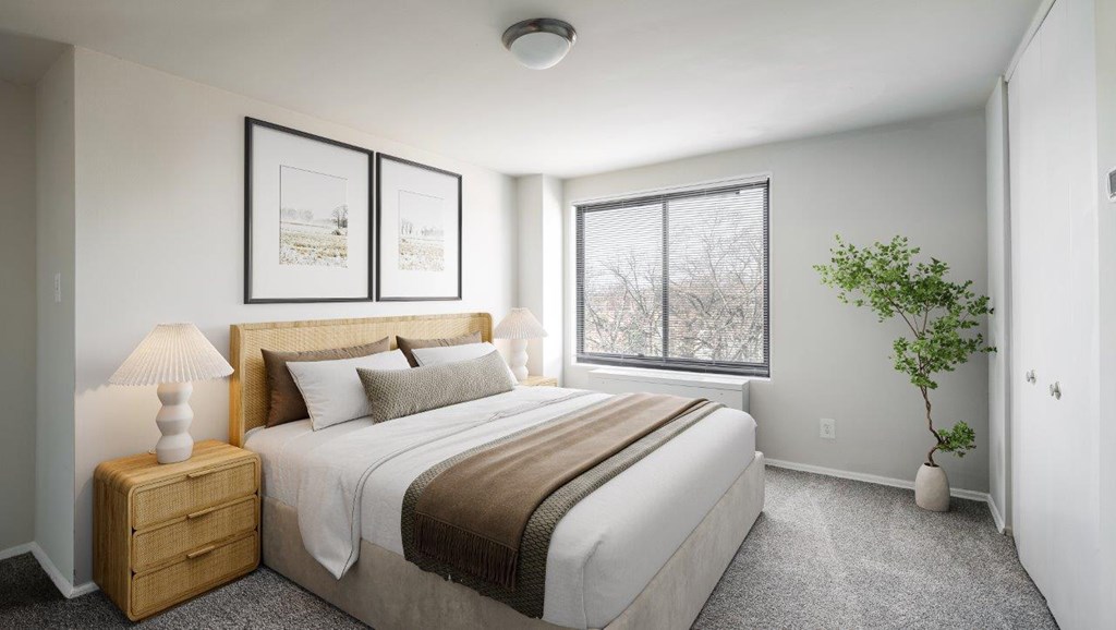 A bedroom with a large bed, a nightstand, and a plant.