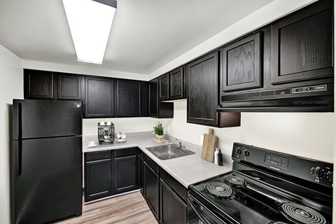 A black fridge and stove in a kitchen with wooden cabinets.