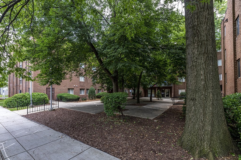 a sidewalk and trees in front of a brick building