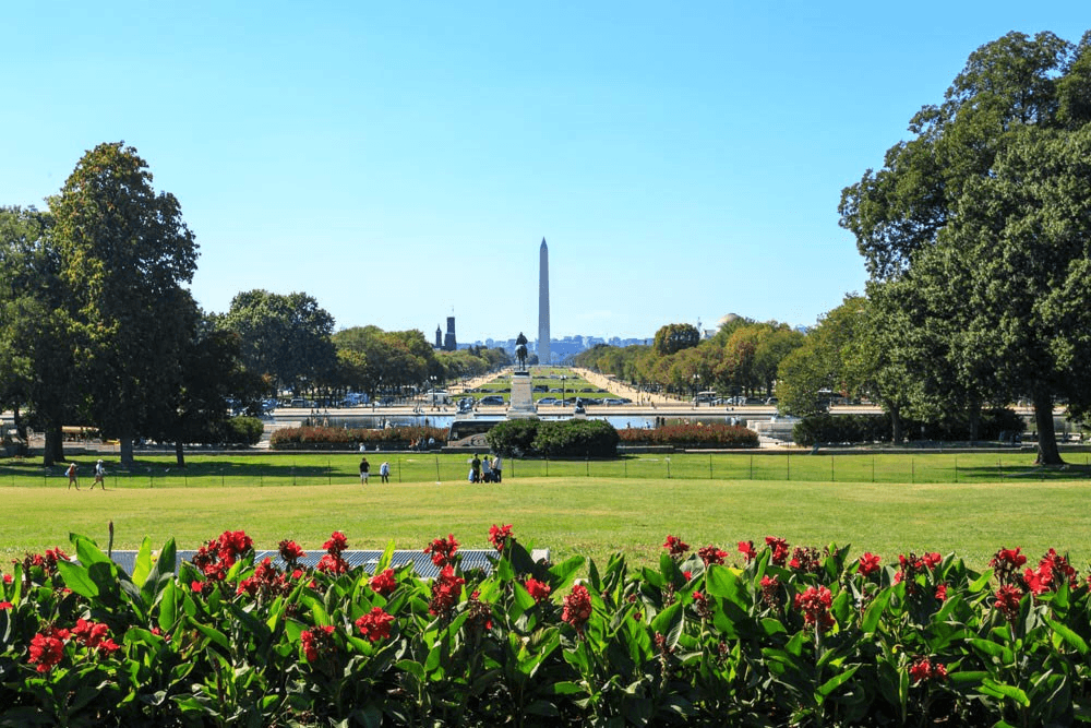a view of the monument from the national mall dc