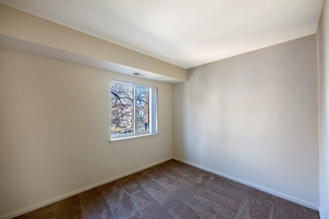 a living room with a window and a carpet