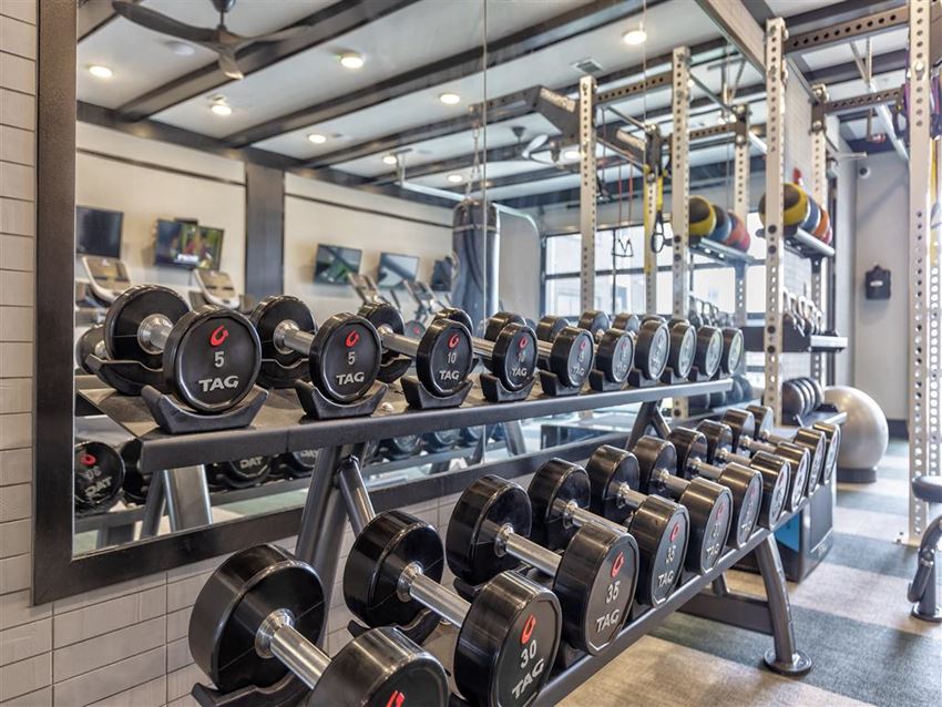 Vintage Century Farms