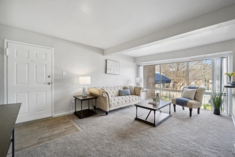 A living room with a white couch and a grey rug.