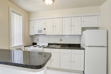 1445 Ogden Street NW Studio-2 Beds Apartment for Rent Photo Gallery 1