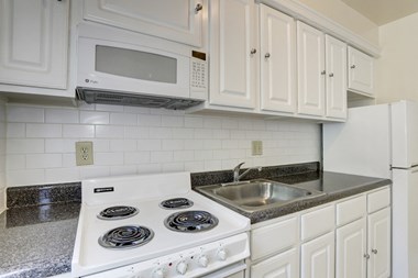 1445 Ogden Street NW Studio-2 Beds Apartment for Rent - Photo Gallery 2
