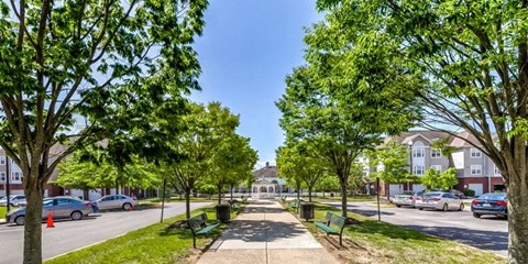 a picture of a park with trees and cars at Windsor Crossing Senior, Suitland 