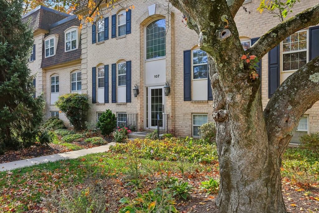 A tree in front of a building with the number 107 on it.