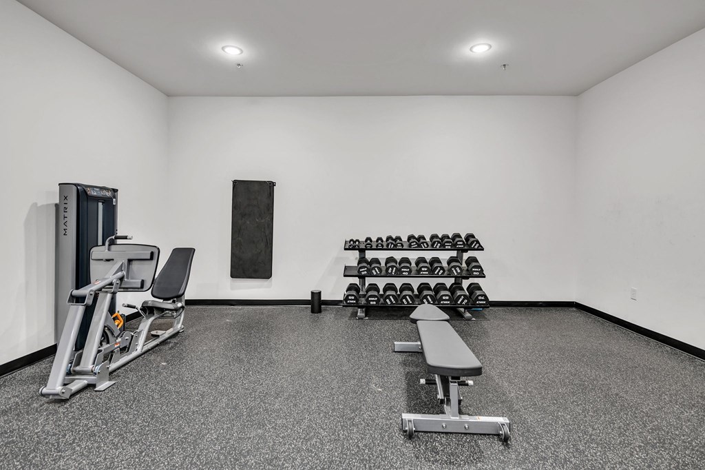 A gym with a bench, weights, and a television.