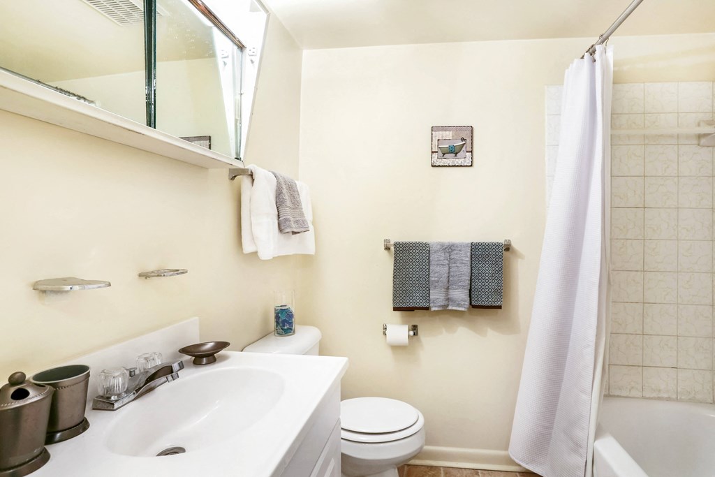 The Hamptons in Virginia Beach Tax Credit bathroom