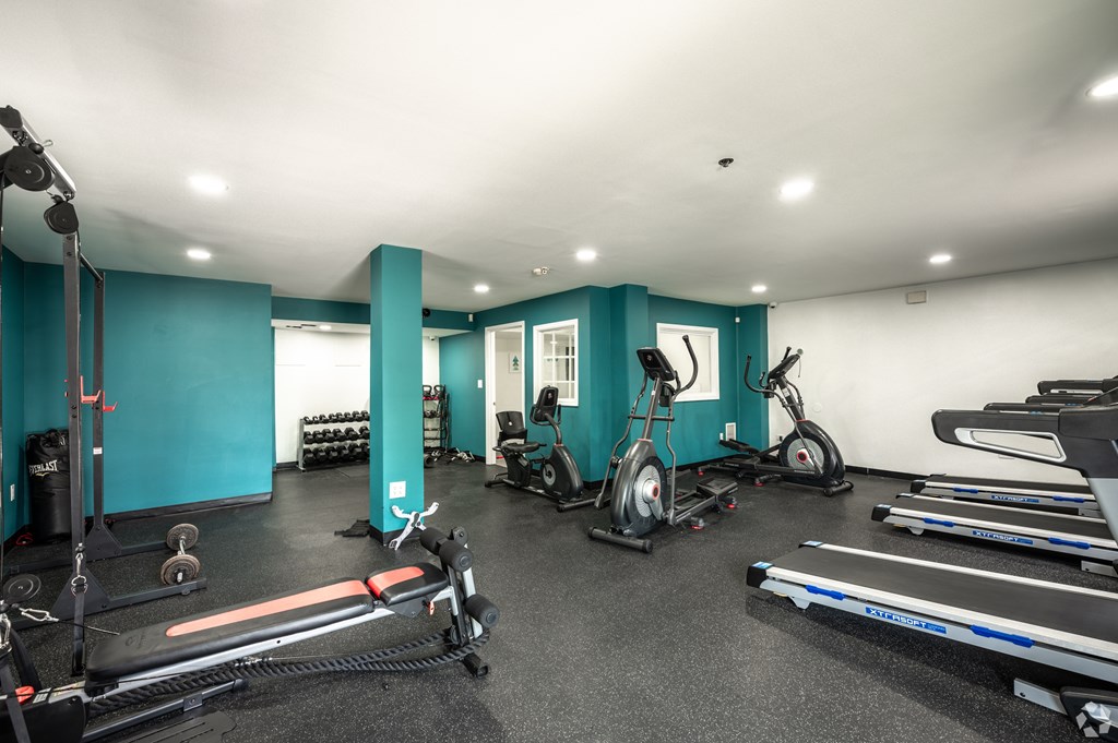 A gym with a variety of exercise equipment including treadmills, rowing machines, and weights.