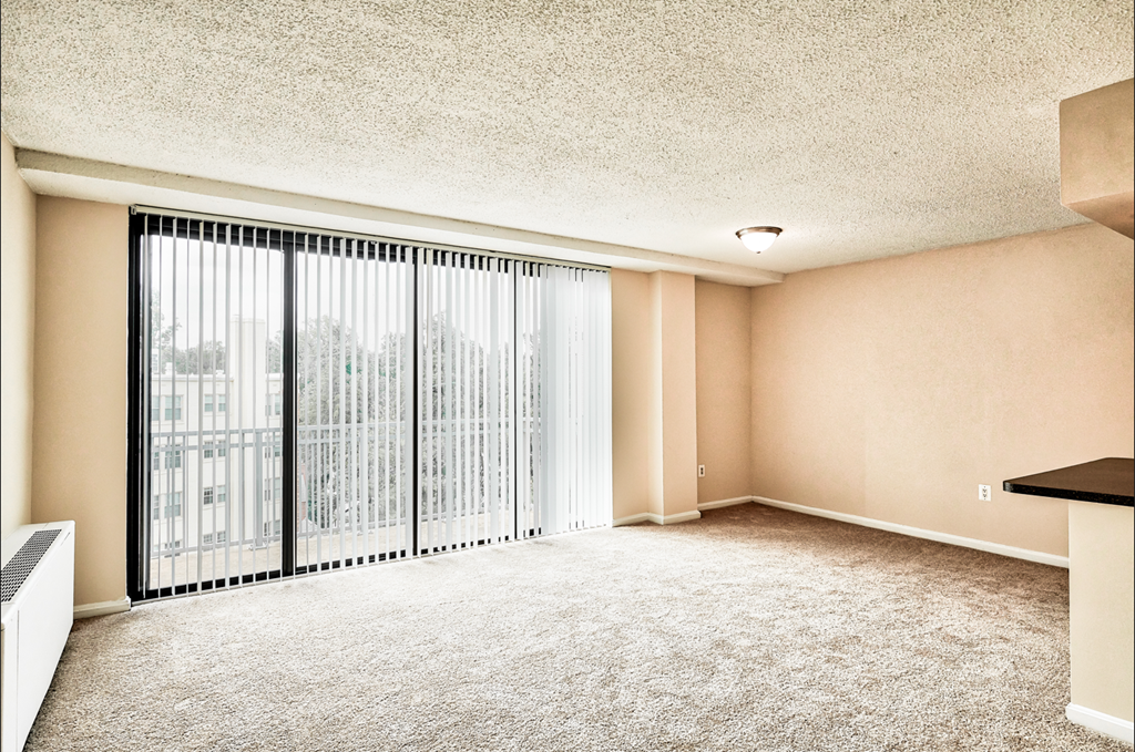 Carpeted Living Area at The Brittany, Washington, 20015