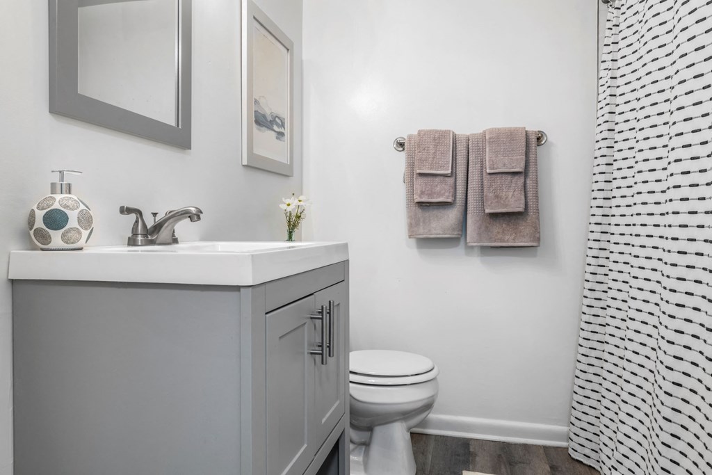 a bathroom with a sink and a toilet and a shower curtain
