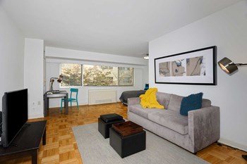 Carillon House Apartments Studio Living Room Couch - Photo Gallery 4