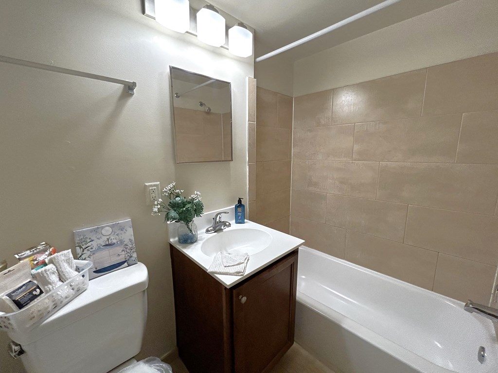 a bathroom with a sink and a toilet and a bath tub
