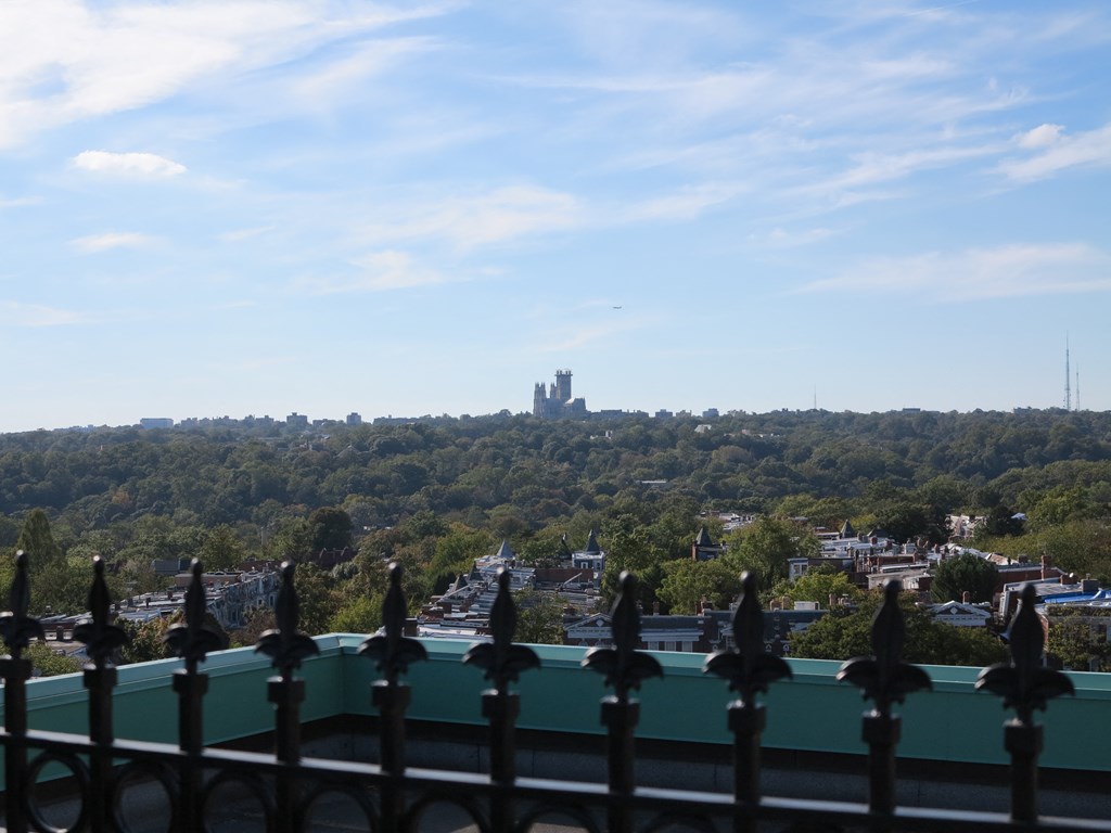 Views From Rooftop at Majestic, Washington, 20010
