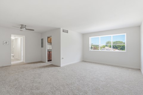A spacious room with a carpeted floor and a window showing a view of trees and a building.