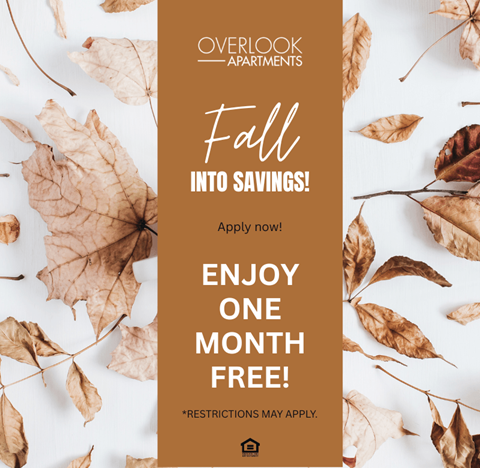 A promotional image for Overlook Apartments offering a free month in the fall.
