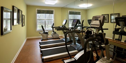 A gym with treadmills and exercise bikes.
