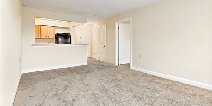 A spacious living room with a carpeted floor and a kitchen area in the background. at Rainier Manor Apartments, Mount Rainier, MD