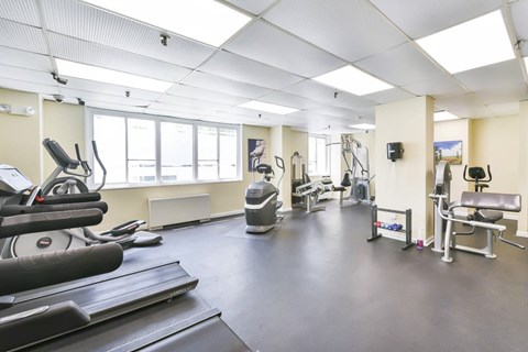 A gym with treadmills, weights, and exercise machines.