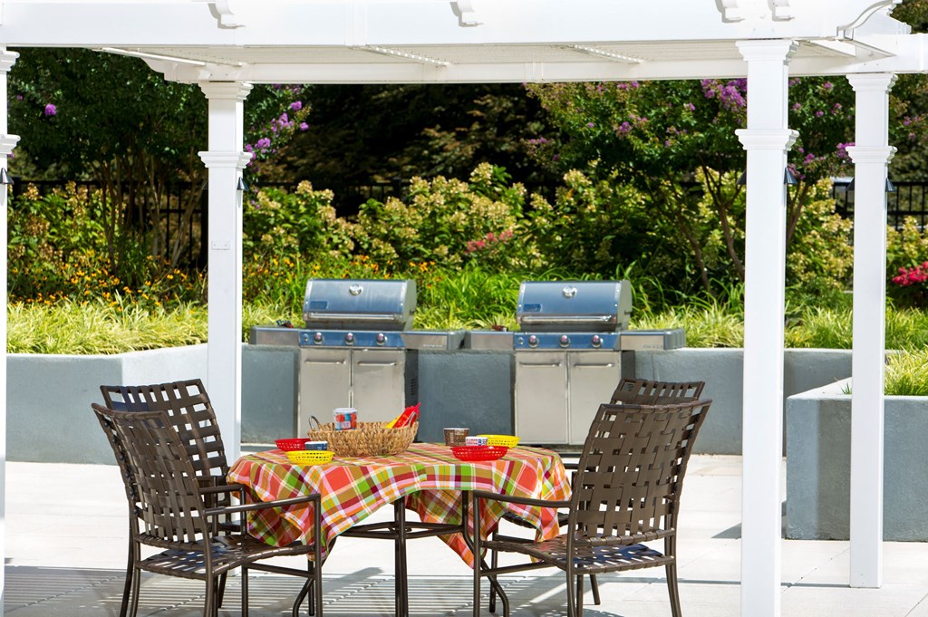outdoor grilling and barbecue area  at Colesville Towers Apartments, Silver Spring, 20910