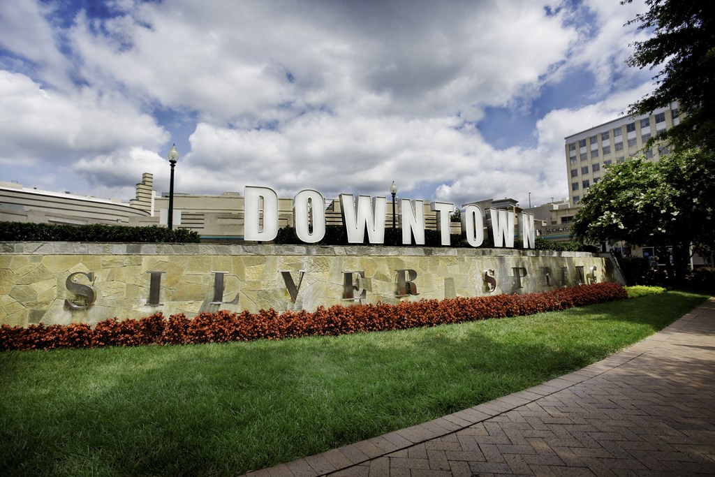 Downtown Signage at Metro 710, Silver Spring, Maryland