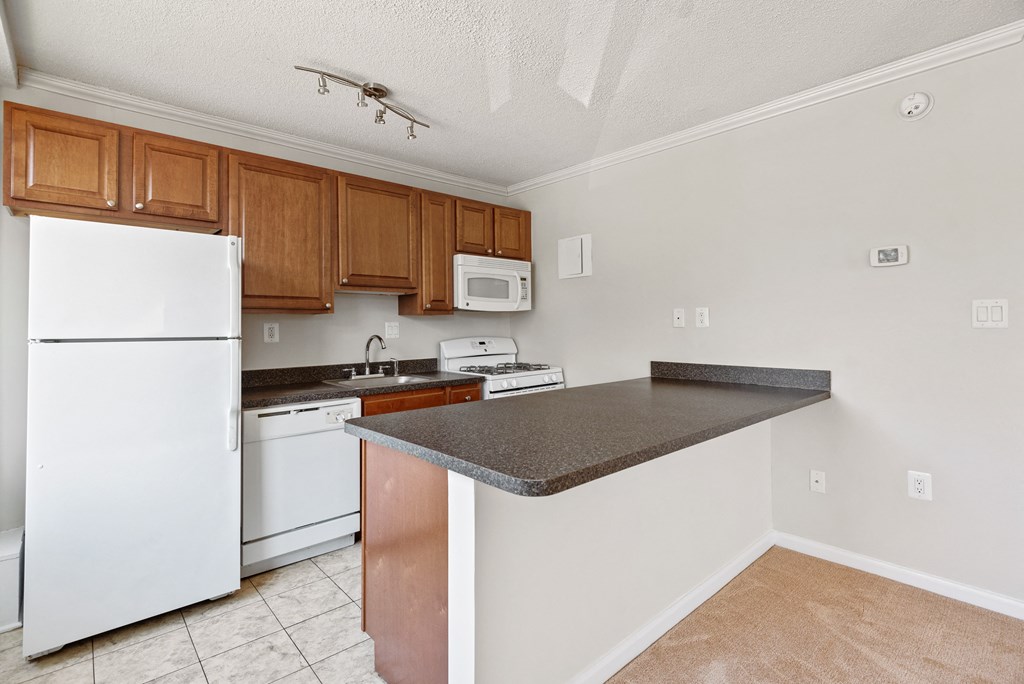 Kitchen Countertop at The Brittany, Washington, 20015