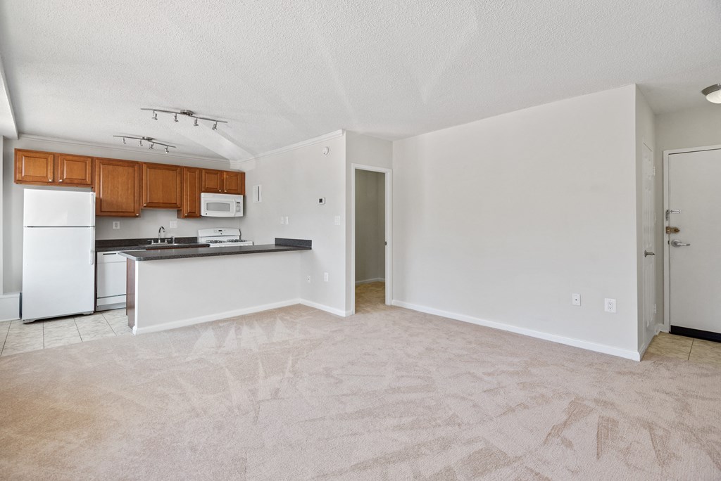 Plush Carpeting at The Brittany, District of Columbia, 20015