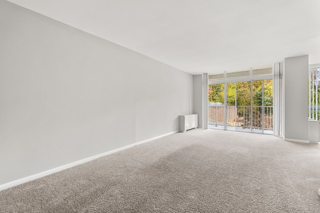 A room with a grey carpet and white walls.
