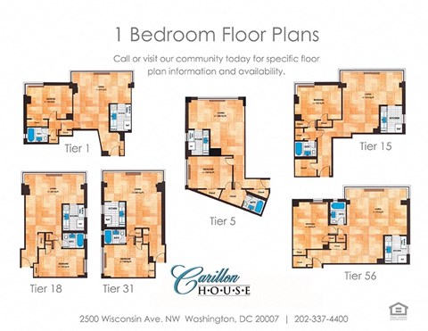 1 Bed and 1 Bath Floor Plan | 800 Sq. Ft. at Carillon House Apartments, Washington, 20007