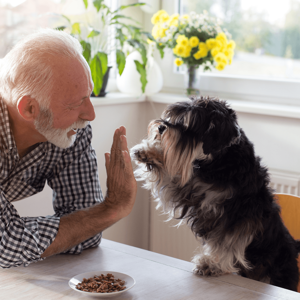man high-fiving dog in front of plate of biscuits