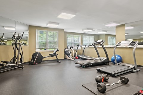 A gym with treadmills, elliptical machines, and weights.