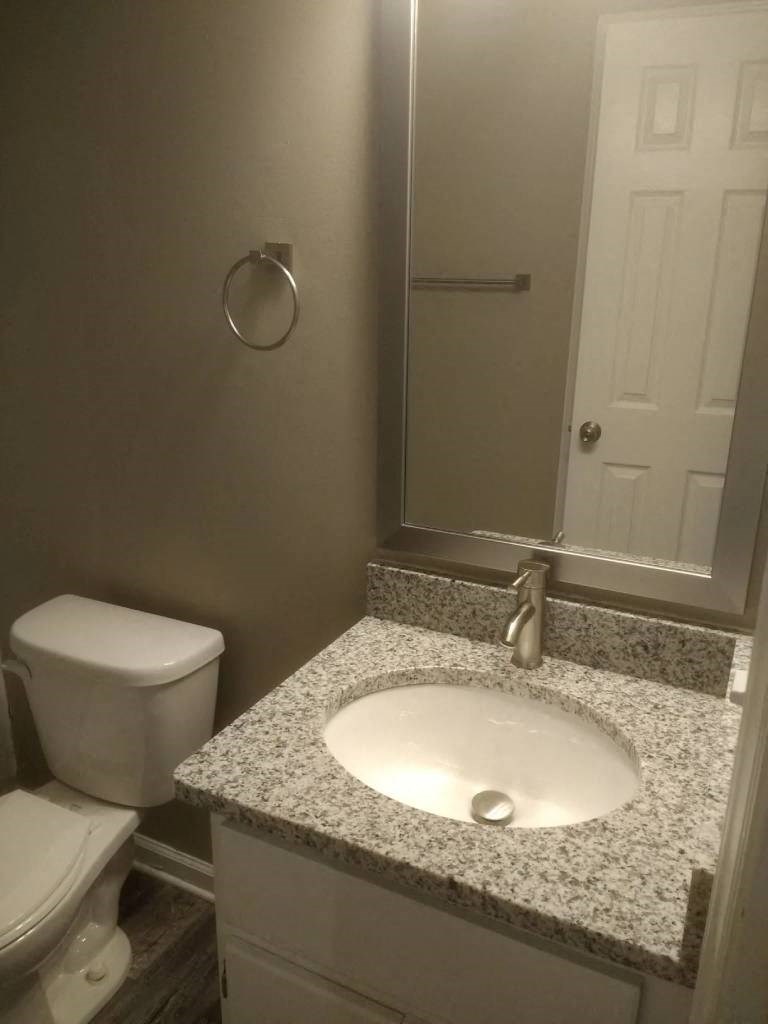 a bathroom with a sink and a toilet