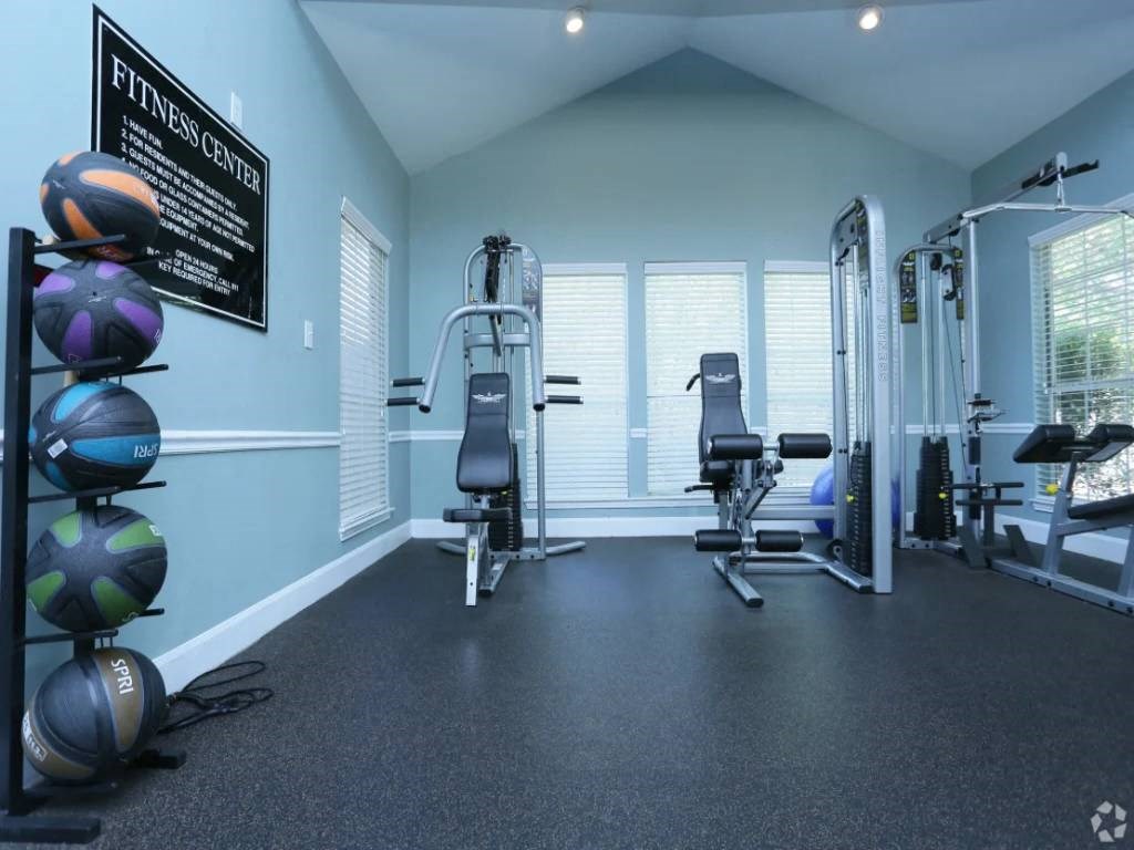 the gym has plenty of equipment and windows to enjoy the outdoors
