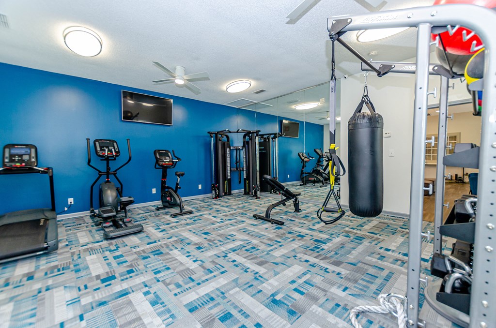 a gym with weights and a punching bag on the floor