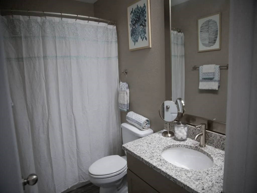 a bathroom with a sink and a toilet and a shower