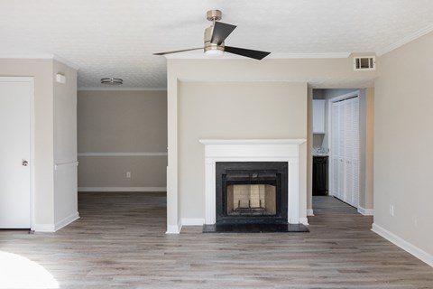 Fireplace and built-in shelving at Twin Springs Apartments, Norcross, GA
