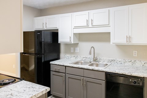 Modern kitchen with refrigirator and dishwasher at Twin Springs Apartments, Norcross, GA