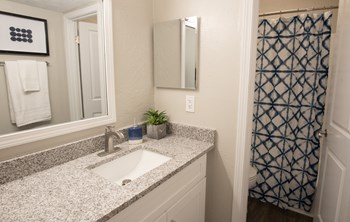 Modern Bathroom Fittings at Barcelo at East Cobb, Marietta, GA, 30067 - Photo Gallery 12