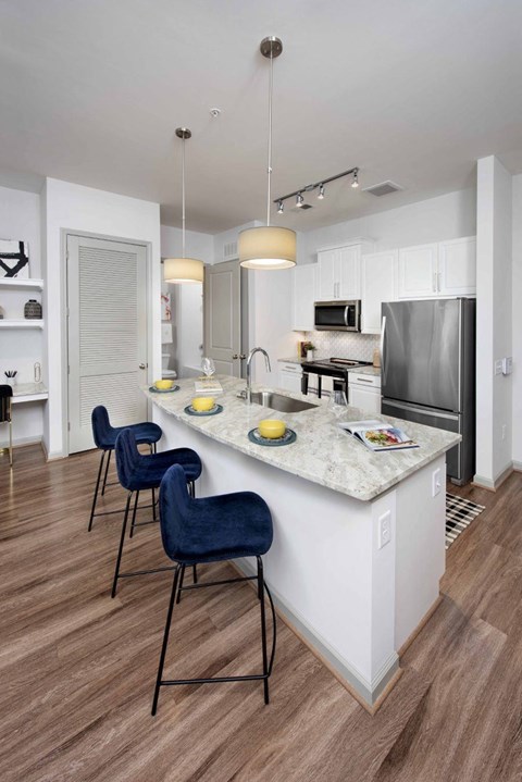 Ten45 Suwanee Luxury Apts