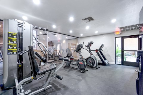 A gym with treadmills, elliptical machines, and other exercise equipment.