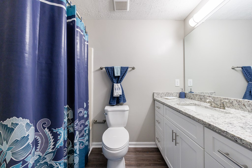 A bathroom with a toilet, sink, and shower curtain.