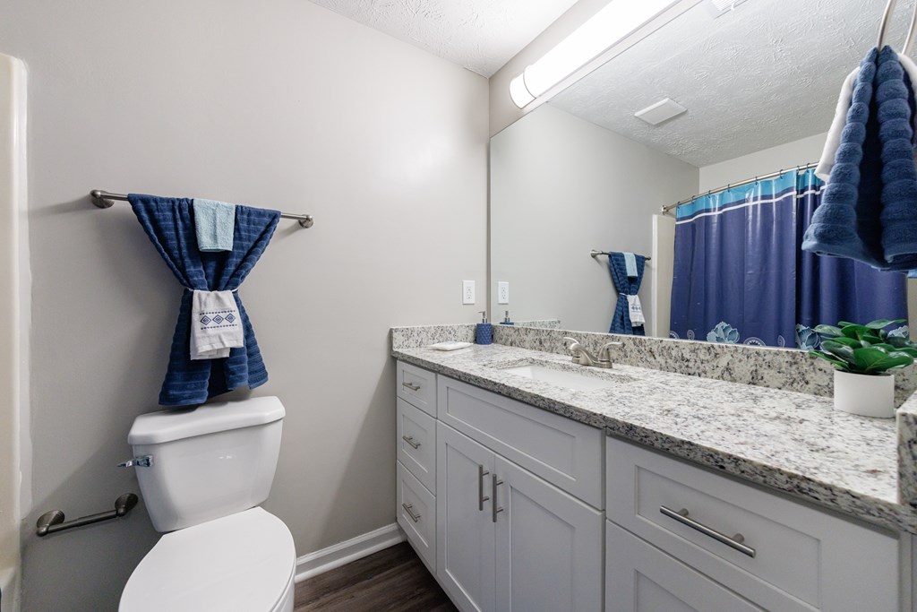 A bathroom with a toilet, sink, and towel rack.