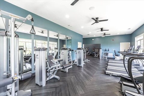 A gym with a variety of equipment including treadmills, weights, and a bench press.