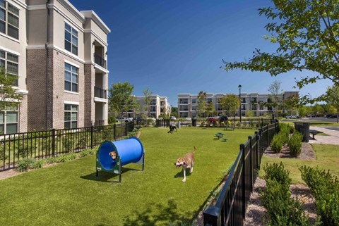 Ten45 Suwanee Luxury Apts