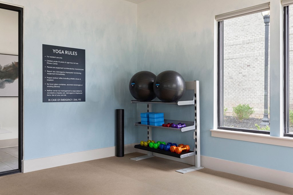 a fitness room with two balls and a shelf with exercise equipment at The Cannon, Murfreesboro