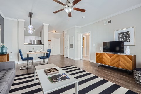 A living room with a grey couch, a coffee table, a television, and a ceiling fan.