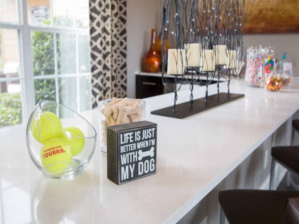Kitchen Counter at Elevate Greene, Georgia, 30253