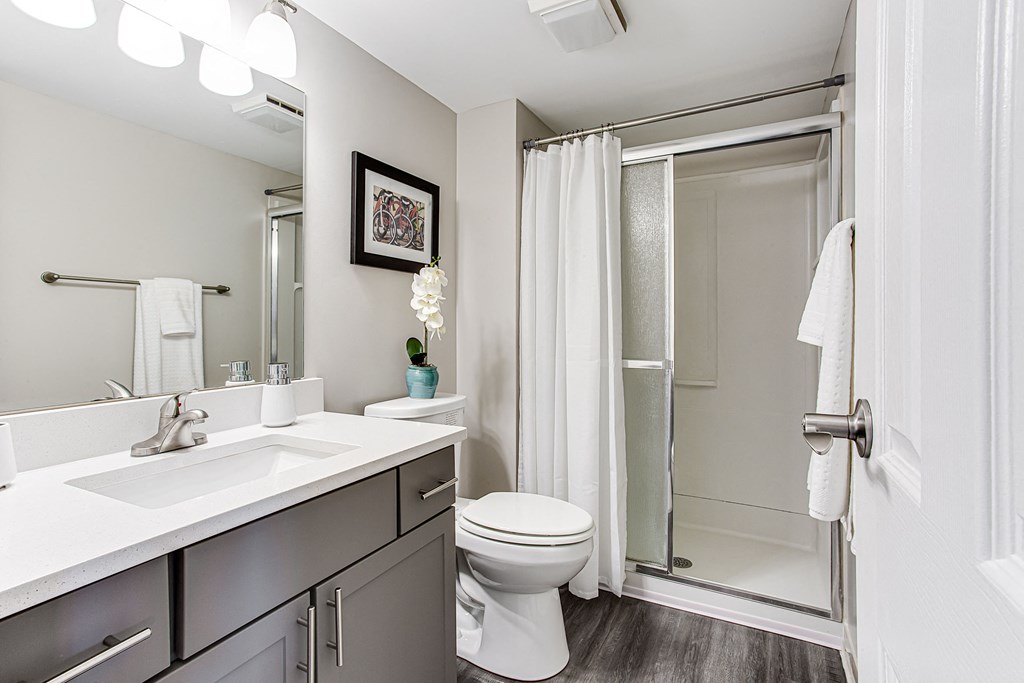 Bathroom at 2460 Peachtree Apartments, Georgia, 30305
